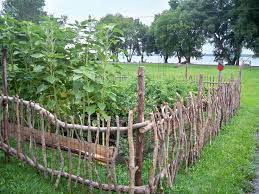 50 Awesome Wood Fence Designs And Ideas Images Diy Garden Fence Garden Fence Garden Fencing