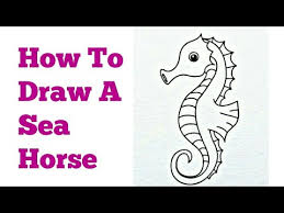 Check spelling or type a new query. How To Draw A Seahorse Step By Step Very Easy Youtube