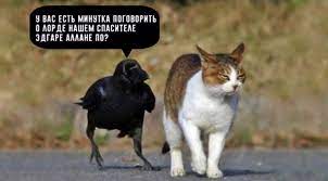 13 анекдотов, которые могут оскорбить чьи-нибудь чувства