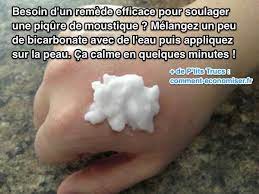 Vinaigre, plantes, huiles essentielles ou homéopathie, on fait le point. Mon Remede Maison Pour Soulager Les Piqures De Moustique