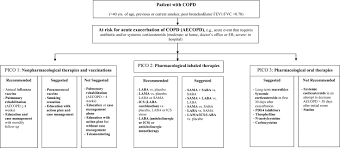 Gold update was a major advance from the simple spirometric grading system of the earlier versions of gold because it incorporated multimodality assessment, symptom burden and highlighted the importance of exacerbation prevention in the management of copd. Prevention Of Acute Exacerbations Of Copd Chest