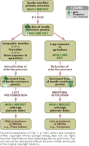 Human Evolution Flowchart Flowchart In Word