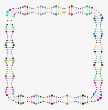 By the way, related with dna double helix coloring worksheet, we have collected several variation of photos to inform you more. Nucleic Acid Double Helix The Double Helix Double Helix Dna Border Transparent Png 750x750 Free Download On Nicepng