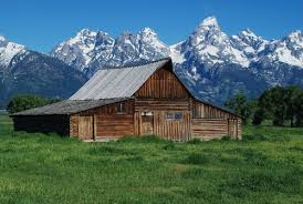 Also watch for coyotes, northern harriers, and american kestrels hunting mice, uinta ground squirrels, and grasshoppers. Mormon Row S Moulton Barn Wyoming Alltrails