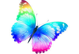 Logos, websites, book covers & more…. Rainbow Butterfly Logo Brand By Kainsade Fiverr