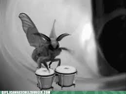 With tenor, maker of gif keyboard, add popular animal muppet drummer animated gifs to your conversations. The Song Of Moth People Animal Gifs Gifs Funny Animals Funny Gifs
