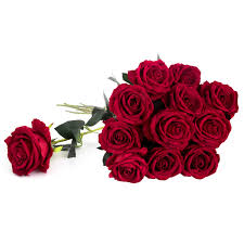 Maybe you would like to learn more about one of these? Royal Imports Artificial Red Roses 1 Dozen Realistic Silk Touch 30 Long Single Stems Use For Bouquet Centerpiece Wedding Home Decor Vase Flower Gift Silk Flower Arrangements