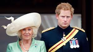 Prinz Harry: Neue Enthüllungsdoku beleuchtet schwierige Beziehung Camilla |  GALA.de