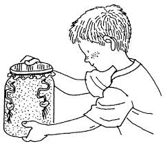 Learn how to correctly pot your plant and choose the when the plants get too big they can be transplanted into their own pots. Science Projects For Kids Classifying Plants Howstuffworks
