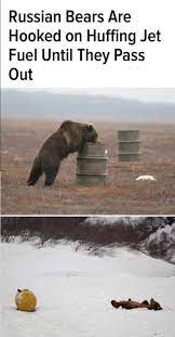 Russians Have Vodka Russian Bears Have Jet Fuel 9gag