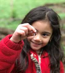 Naturalist Quarterly