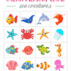 Learn about all of the wonderful creatures that live below us in the expansive world of the sea. 3