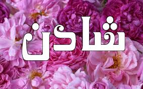 معنى اسم شادن بنات كيوت