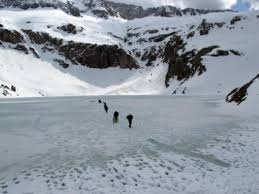 Image result for Universidad Fernando Noveno