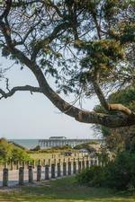Click here to subscribe today 10108 kings road myrtle beach, sc 29572 Campsite Reservations Myrtle Beach State Park Sc