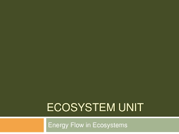 Biotic And Abiotic Factors In An Ecosystem Slideshare Ecosystem Unit By Sara Via Slideshare Ecosystems Unit Ecosystems The Unit