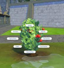 Modthesims Harvestable Raspberry Plant Sims 4 Pets Sims Packs Plants