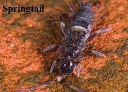 The top countries of supplier is china, from which the percentage of long range pest control sprayer supply is 100% respectively. Front Range Pest Control Of Fort Collins Inc Pest Control Services Co