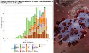 Check spelling or type a new query. We Pick Three Dining Tables With Glass Tops To Suit Various Budgets Daily Mail Online