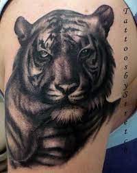 Pin By Tina Maurer On Tattoo Art Tiger Tattoo Design Tiger Tattoo Arm Tattoos Pictures