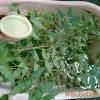 Obat tradisional untuk demam anak. 1