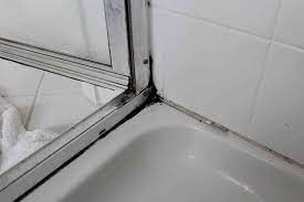 if you noticed some small black stains on the shower caulking you probably need to take action because you are shower mold mold in bathroom clean black mold