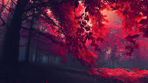 A collection of the top 59 1920x1080 full hd wallpapers and backgrounds available for download for free. 1920x1080 Hd Wallpapers Top Free 1920x1080 Hd Backgrounds Wallpaperaccess