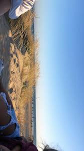 The Beach