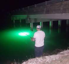 $ 174.00 $ 145.00 add to cart. Reel Britebite 12v Fishing Light Fishing Lights Solar Deck Lights Underwater Lights