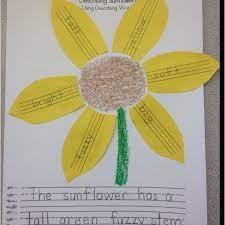 Describing A Sunflower With Describing Words Describing Words Five In A Row Literacy