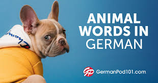 What can be a romantic word with the letters y, t, a, m, r, h and e? How To Say I Love You In German Romantic Word List