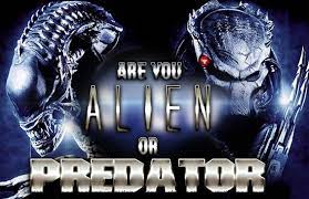 Challenge them to a trivia party! Are You Alien Or Predator Brainfall