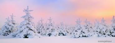 Pretty Winter Facebook Cover Winter Facebook Covers Winter Cover Photos Christmas Cover Photo