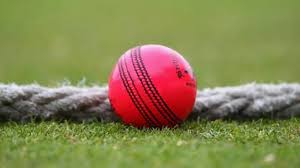 India's Pink-Ball Test record: Most runs, wickets, high scores ahead of  Border-Gavaskar Trophy match | Cricket News - The Indian Express