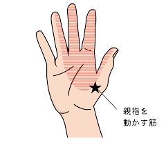 妊娠 手 の しびれ