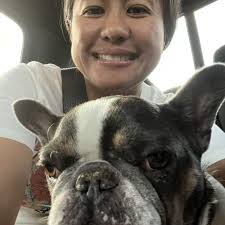 TOP 10 BEST 24 Hour Vet near Aiea, HI