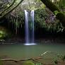 twin falls rainforest maui from www.twinfallsmaui.net