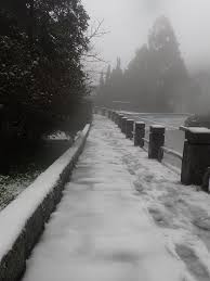 The site owner hides the web page description. é™½æ˜Žå±±ä¸‹é›ªäº†åœ‹å®¶å…¬åœ'poé›ªæ™¯ç…§ ä»Šå'¨åˆŠ