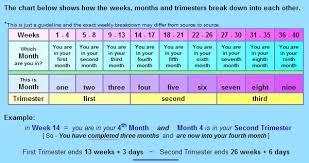 30 Perspicuous Pregnancy Symptoms Week By Week Chart