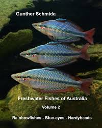 Based On Over 60 Years Experience This Book Is The Most Comprehensive Record Of All Currently Known Austra Rainbow Fish Freshwater Aquarium Fish Aquarium Fish