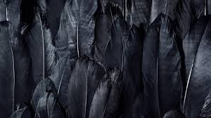 4k Resolution Black Wallpaper 4k Download Get Images Here you can find the best 4k black wallpapers uploaded by our community. get images