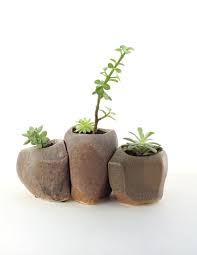 Our designs begin with the function of each piece in mind. Pin On Plants Nature