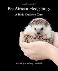 Pet African Hedgehogs A Complete Guide To Care African Hedgehog