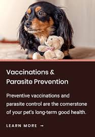 Compare your options and call now. Patient Information All Care Pet Clinic