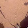 Story image for mars insight from SpaceNews