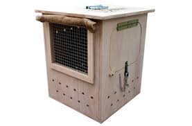 Or, as a pet parent, you may feel more comfortable having your pet transported by ground. Travel Boxes For Dogs Cats And Other Pets Dkc