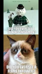 Erika Kaisersot Erikakaisersot Grumpy Cat Funny Grumpy Cat Memes Grumpy Cat Humor