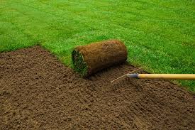 Maybe you would like to learn more about one of these? Sod Installation Champlin Mn Sod Delivery Services Champlin
