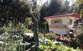 Maybe you would like to learn more about one of these? Myrtle Creek Botanical Gardens Day Trip Fun Filled Getaway