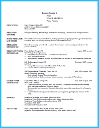 description camp counselor resume